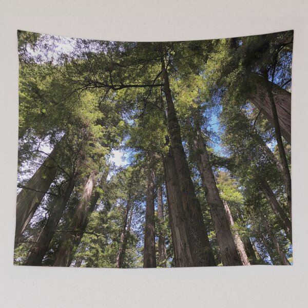 Item preview, Redwood Canopy designed and sold by artbylukas.