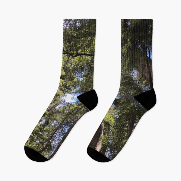 Item preview, Redwood Canopy designed and sold by artbylukas.