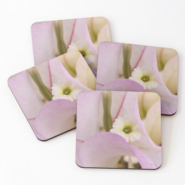Item preview, Bougainvillaea designed and sold by Yannik Hay.