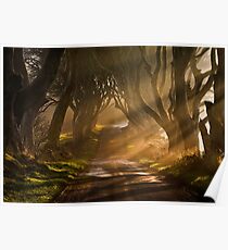 The Dark Hedges Poster