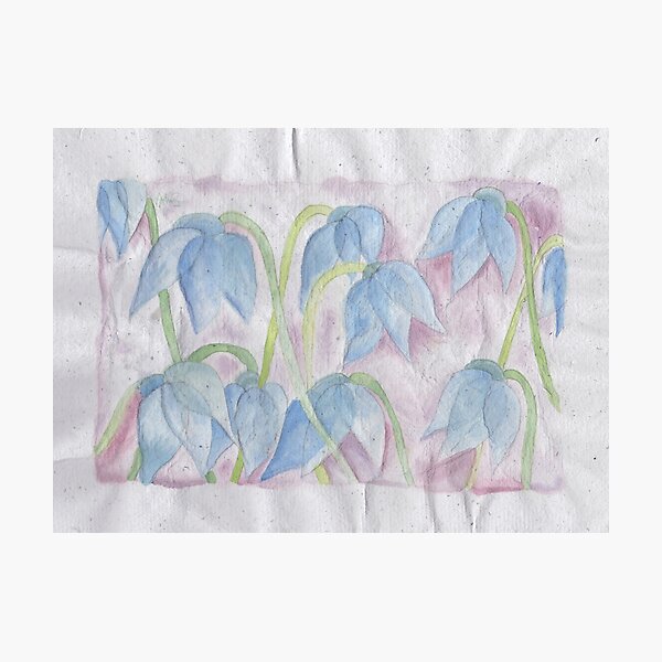 Blue flowers Photographic Print