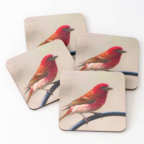 Item preview, Purple Finch designed and sold by Yannik Hay.