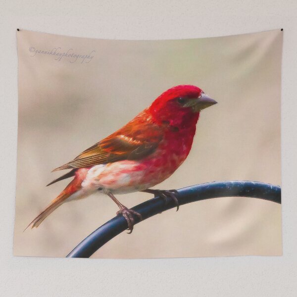 Item preview, Purple Finch designed and sold by Yannik Hay.