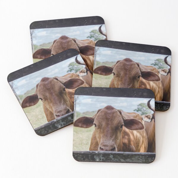 Item preview, cow behind the fence on a farm in Venezuela designed and sold by ricobarinas.