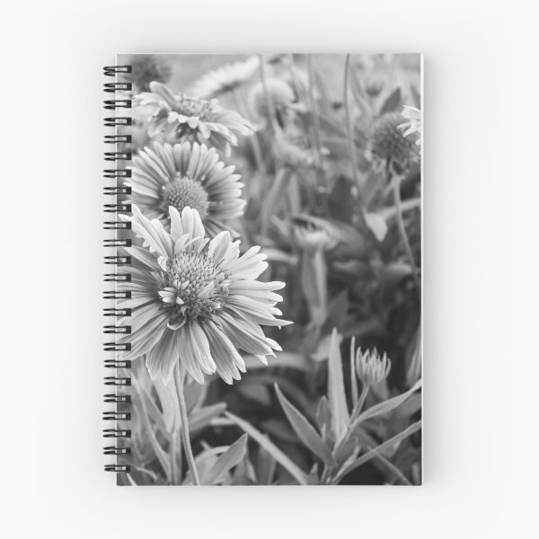 Item preview, Gerbera Daisies in Black and White designed and sold by srgreen.