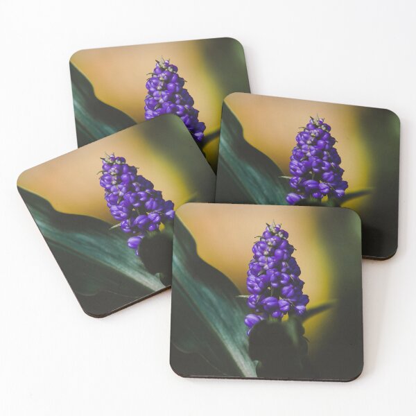 Item preview, Grape Hyacinths designed and sold by anafrancisconi.