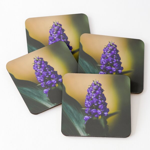Item preview, Grape Hyacinths designed and sold by anafrancisconi.