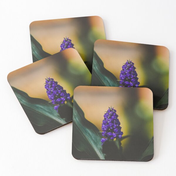 Item preview, Grape Hyacinths designed and sold by anafrancisconi.