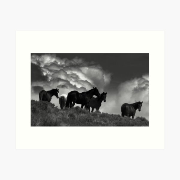 High On A Lonely Hill Art Print