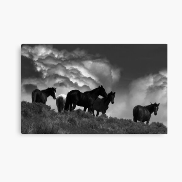 High On A Lonely Hill Canvas Print