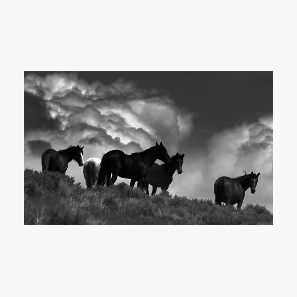 High On A Lonely Hill Photographic Print