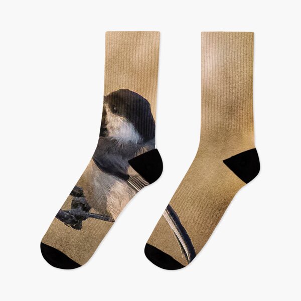 Item preview, Black Capped Chickadee and Seed designed and sold by Yannik Hay.