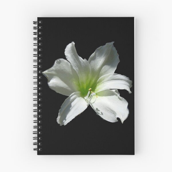 Item preview, Lily Hippeastrum Flower designed and sold by thunderox.
