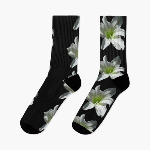 Item preview, Lily Hippeastrum Flower designed and sold by thunderox.