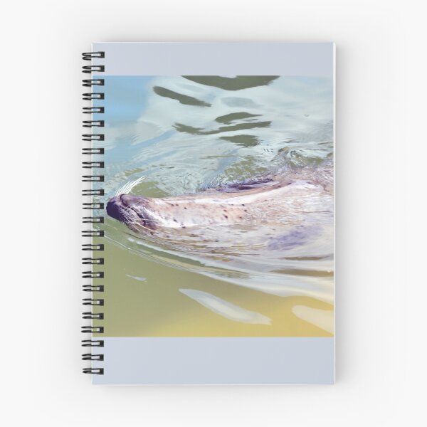 Item preview, Backstroke............ designed and sold by lynn carter.