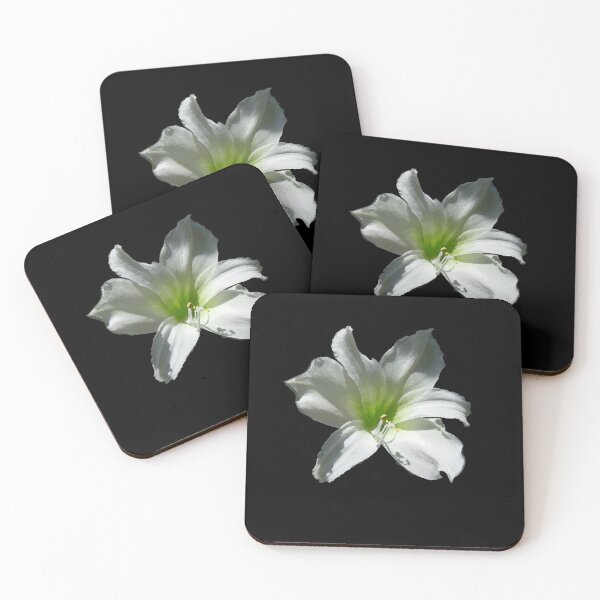 Item preview, Lily Hippeastrum Flower designed and sold by thunderox.