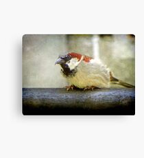 Just sitting... © Canvas Print