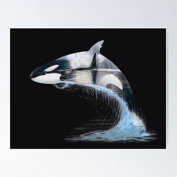 Wild Killer Whale Orca Zip Pouch by James R.d. Scott 