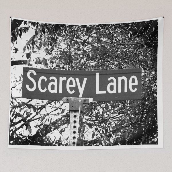 Item preview, A Street Sign Named Scarey designed and sold by jcwest.