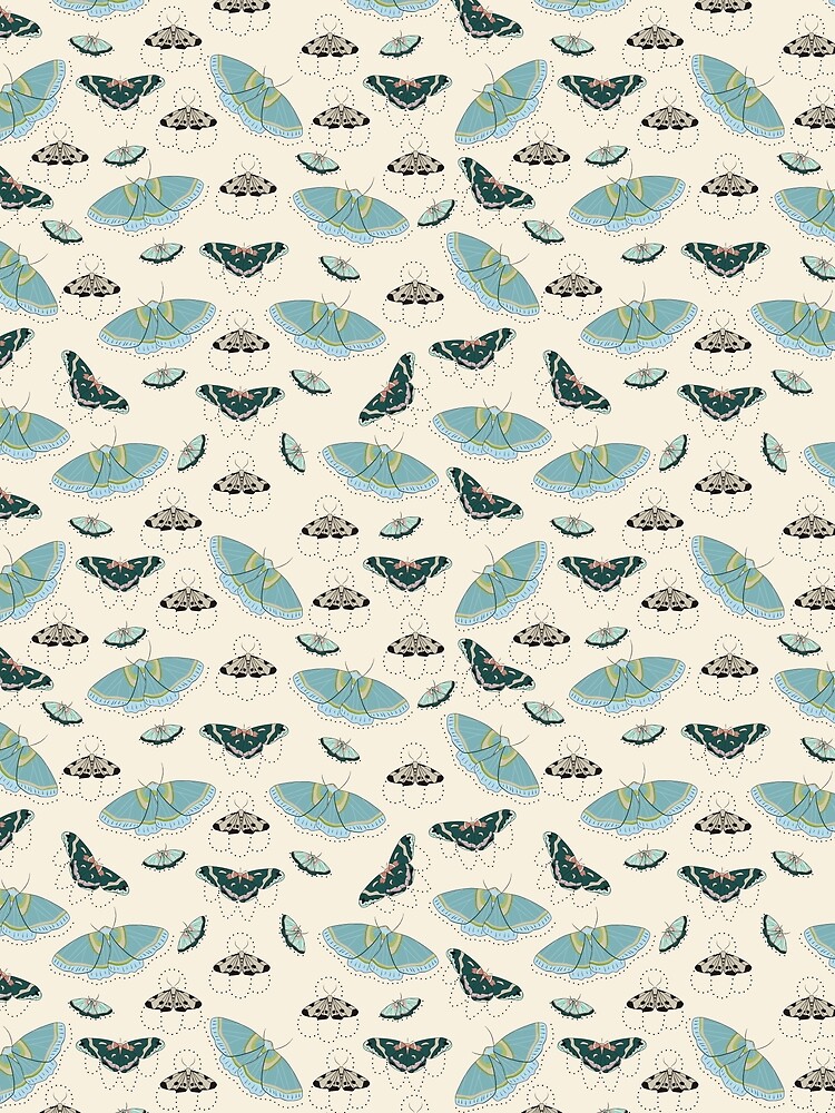 Moths by MeredithWatson