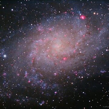 Artwork thumbnail, M33 - Triangulum Galaxy by Jeff Johnson