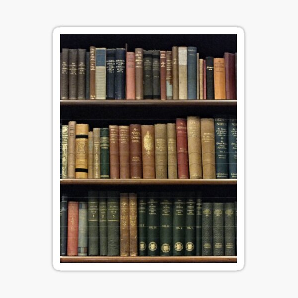 Endless Library (pattern) Sticker