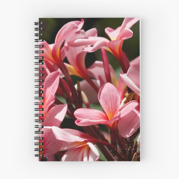 Item preview, Pink Frangipani blooms  designed and sold by MargsNaturePix.