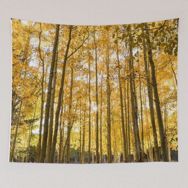 Item preview, Sun Through the Aspens  designed and sold by Mary Kayser.