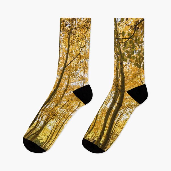 Item preview, Sun Through the Aspens  designed and sold by Mary Kayser.