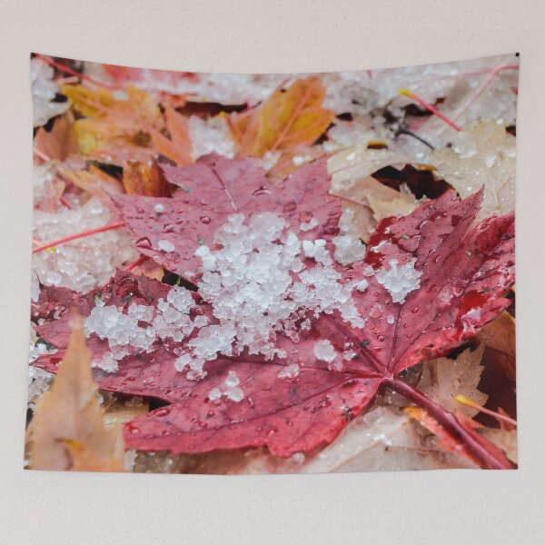 Item preview, Maple Leaves in Snow designed and sold by Mary Kayser.