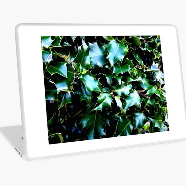 Holly Laptop Skin