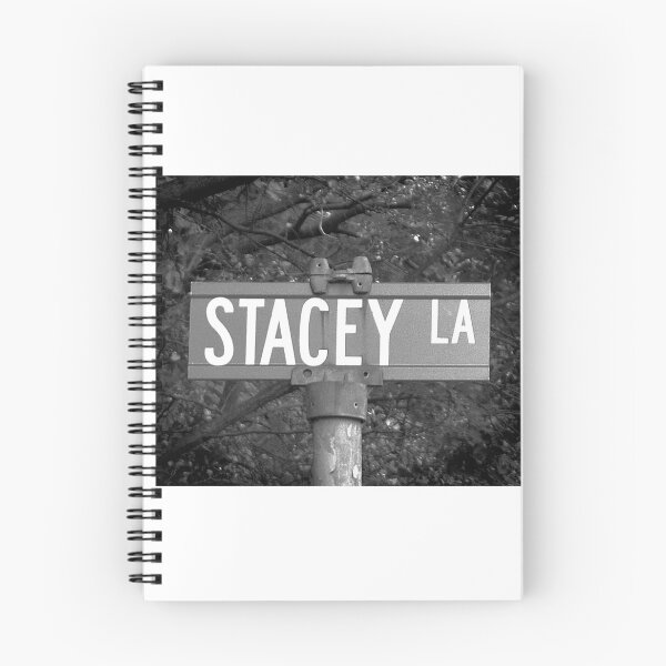 Item preview, A Street Sign Named Stacey designed and sold by jcwest.