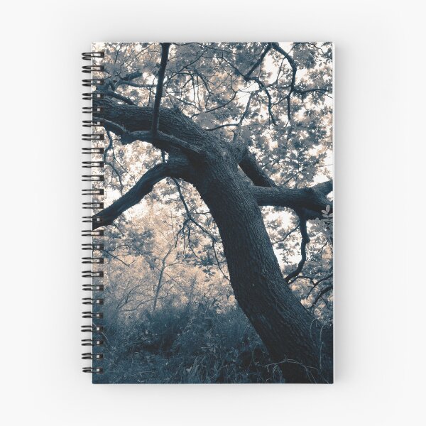 Item preview, 2017 Giardini della natura #04 designed and sold by robertoferrero.