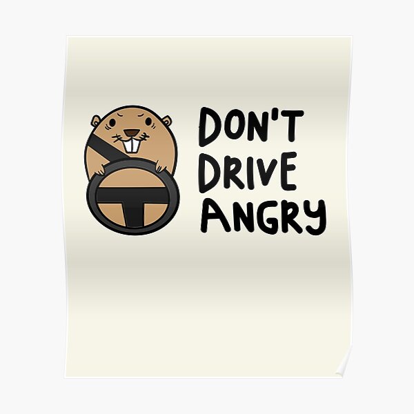 dont drive angry groundhog day