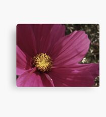 Flower Canvas Print