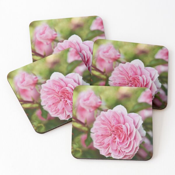 Item preview, Perfectly Pink 'Flinders' Rose designed and sold by imaginethis.