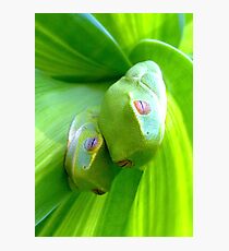 Two Cute Fotodruck