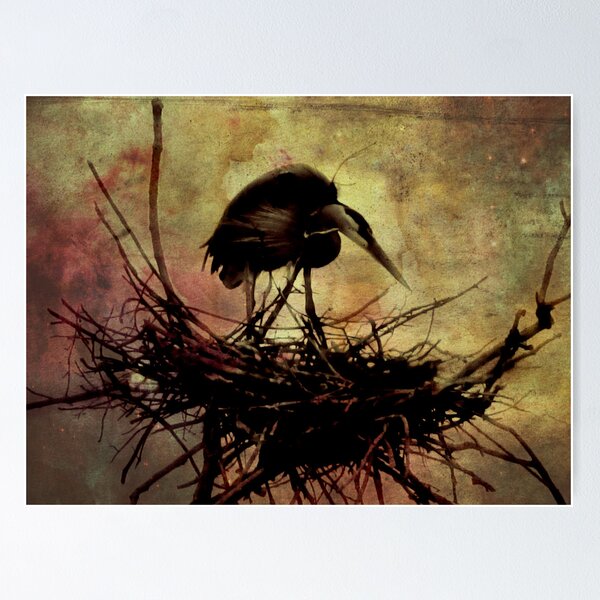 Item preview,  22 de mayo designed and sold by shutterbug2010.