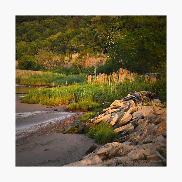 Item preview, Salt Marsh designed and sold by jaeepathak.