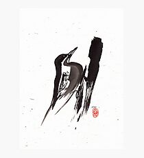 Nut Hatch Sumi-e Photographic Print
