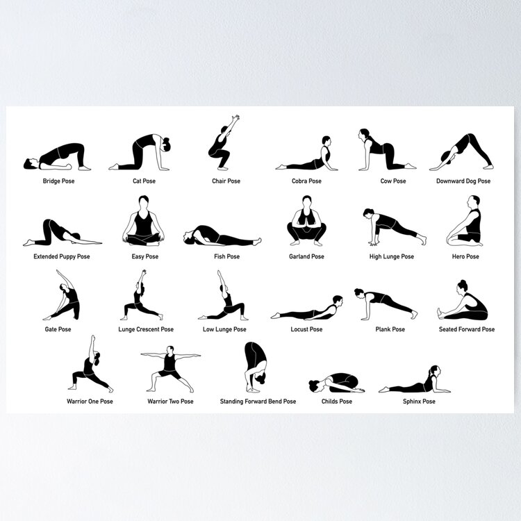 Yoga Poses Seated 25 Large Ashtanga Yoga Cards Print, Wall Art