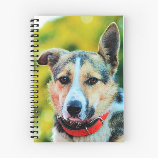 Item preview, Jess, Border Collie designed and sold by thegreendogs.
