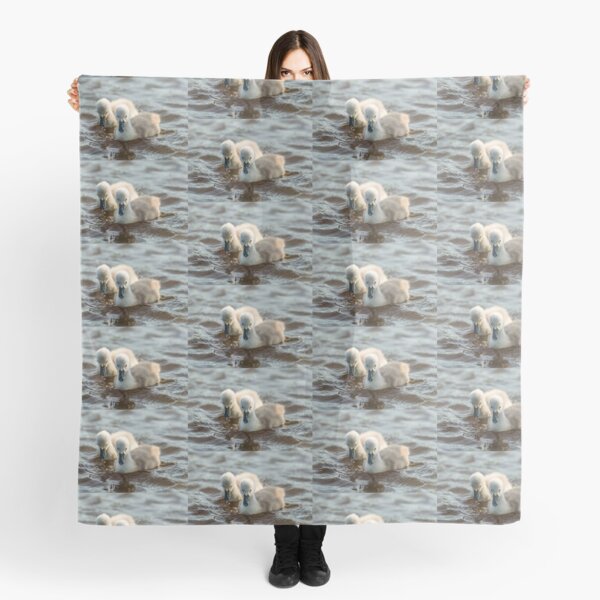 Wild Baby Cygnets Scarf