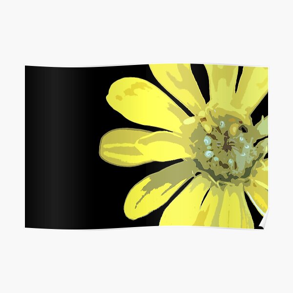 Zany Zinnia Poster
