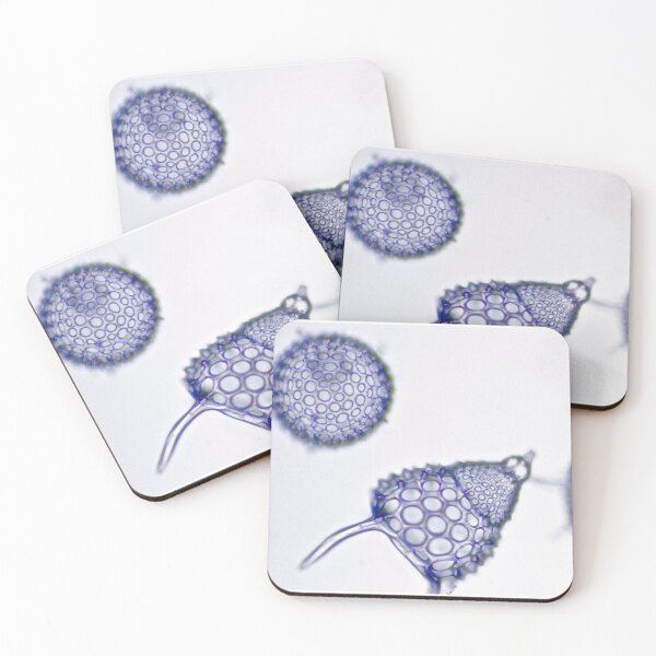 Item preview, Radical Radiolaria designed and sold by MicrocosmFilm.