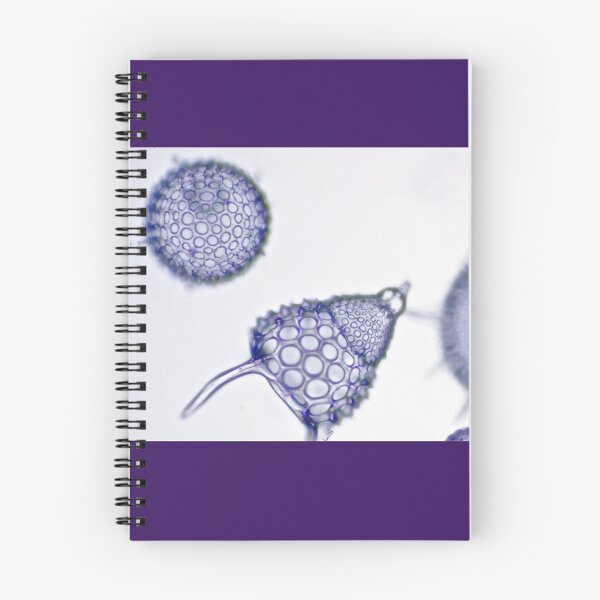 Item preview, Radical Radiolaria designed and sold by MicrocosmFilm.