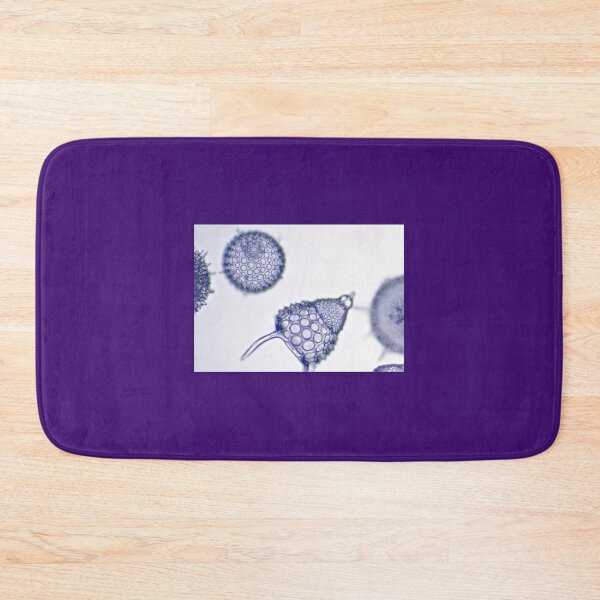 Item preview, Radical Radiolaria designed and sold by MicrocosmFilm.