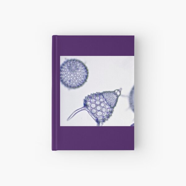 Radical Radiolaria Hardcover Journal