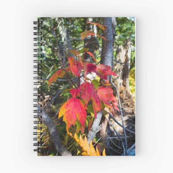 Item preview, Fall Color designed and sold by MLP Fine Art.