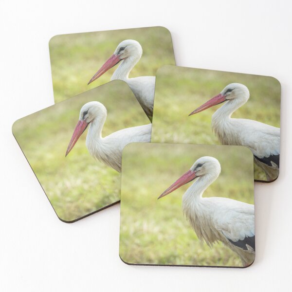 Item preview, Portrait of a stork designed and sold by PhotoLux.